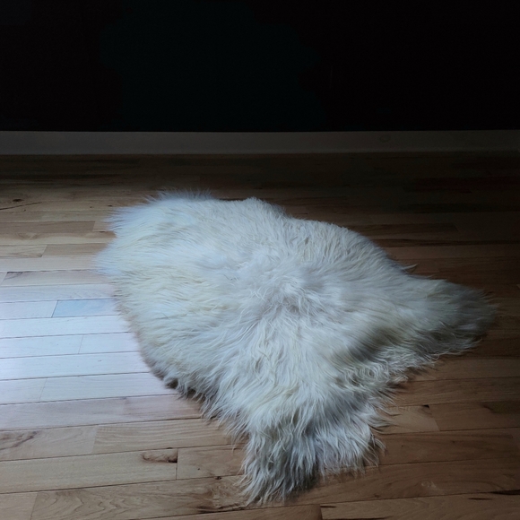 Enormous Icelandic Sheepskin Hides – Limited Availability - Picture 4 of 13